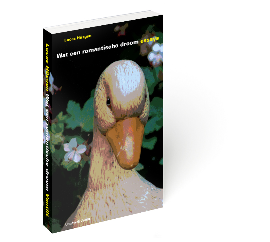 9789077503874_wat een romantische droom